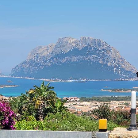 Villa Claude&Kate'S Dream House Loiri Porto San Paolo Exterior foto